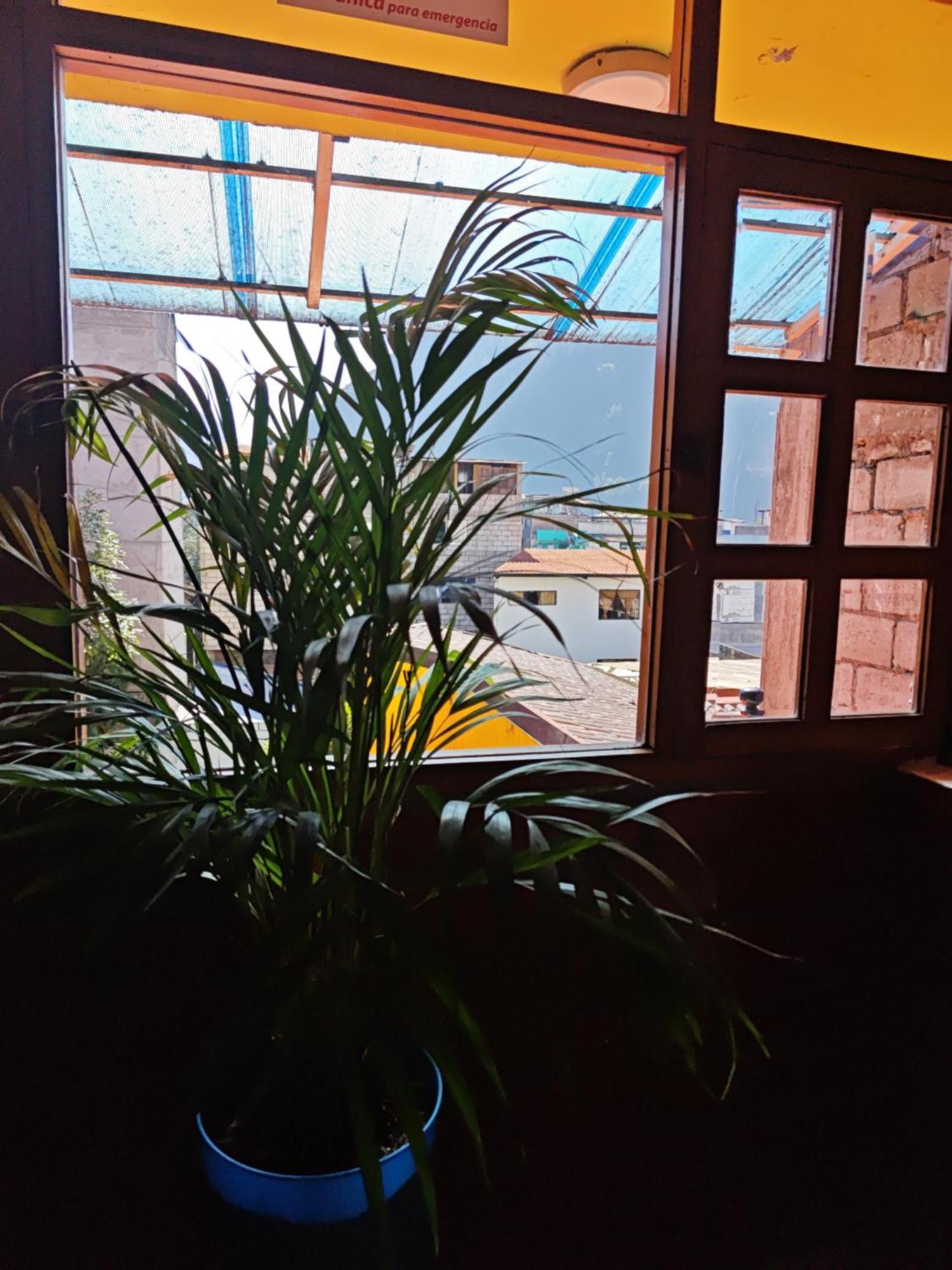Garden House Hostal Banos  Exterior photo